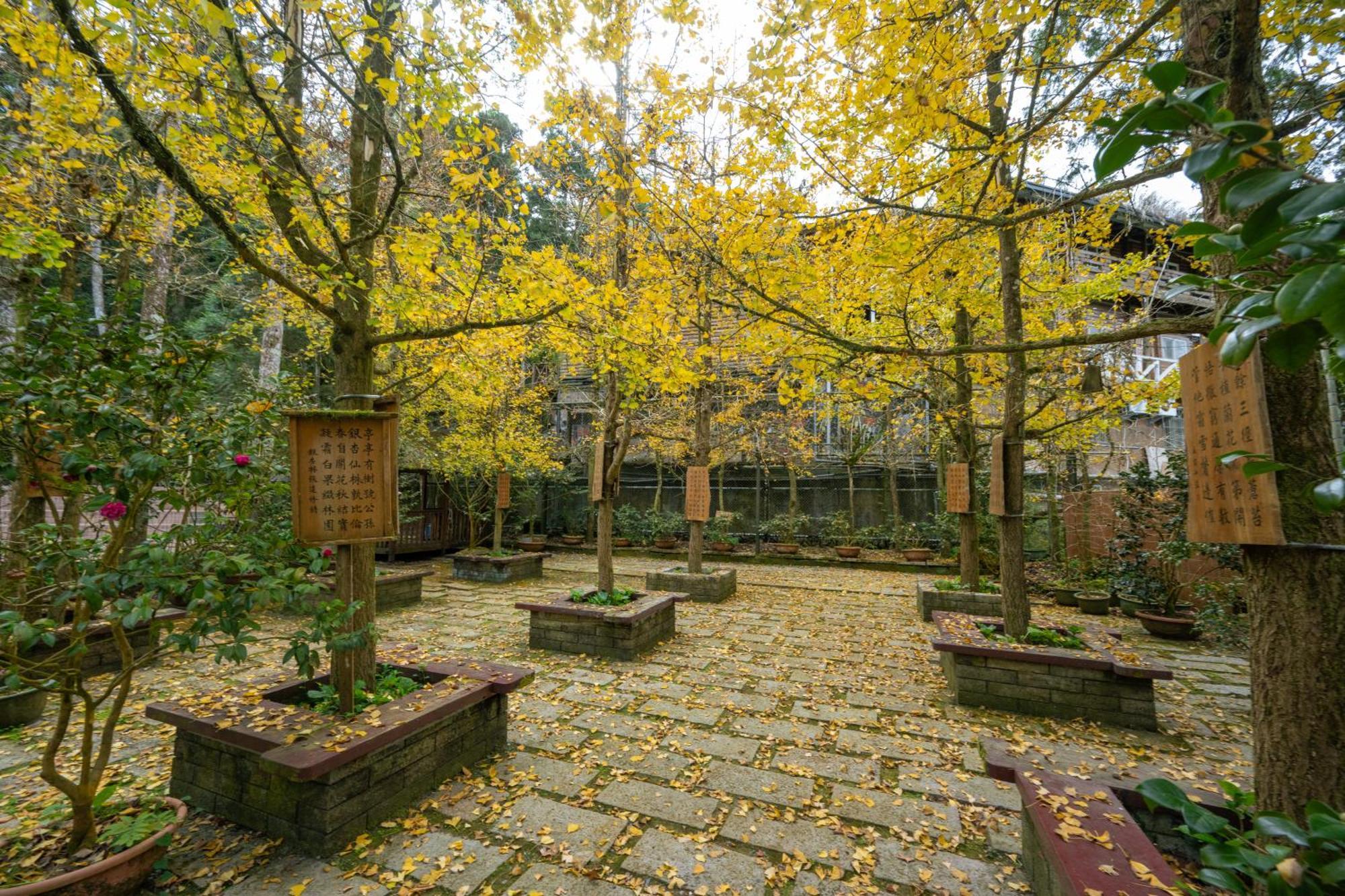 Ginkgo Hotel Лугу Екстериор снимка
