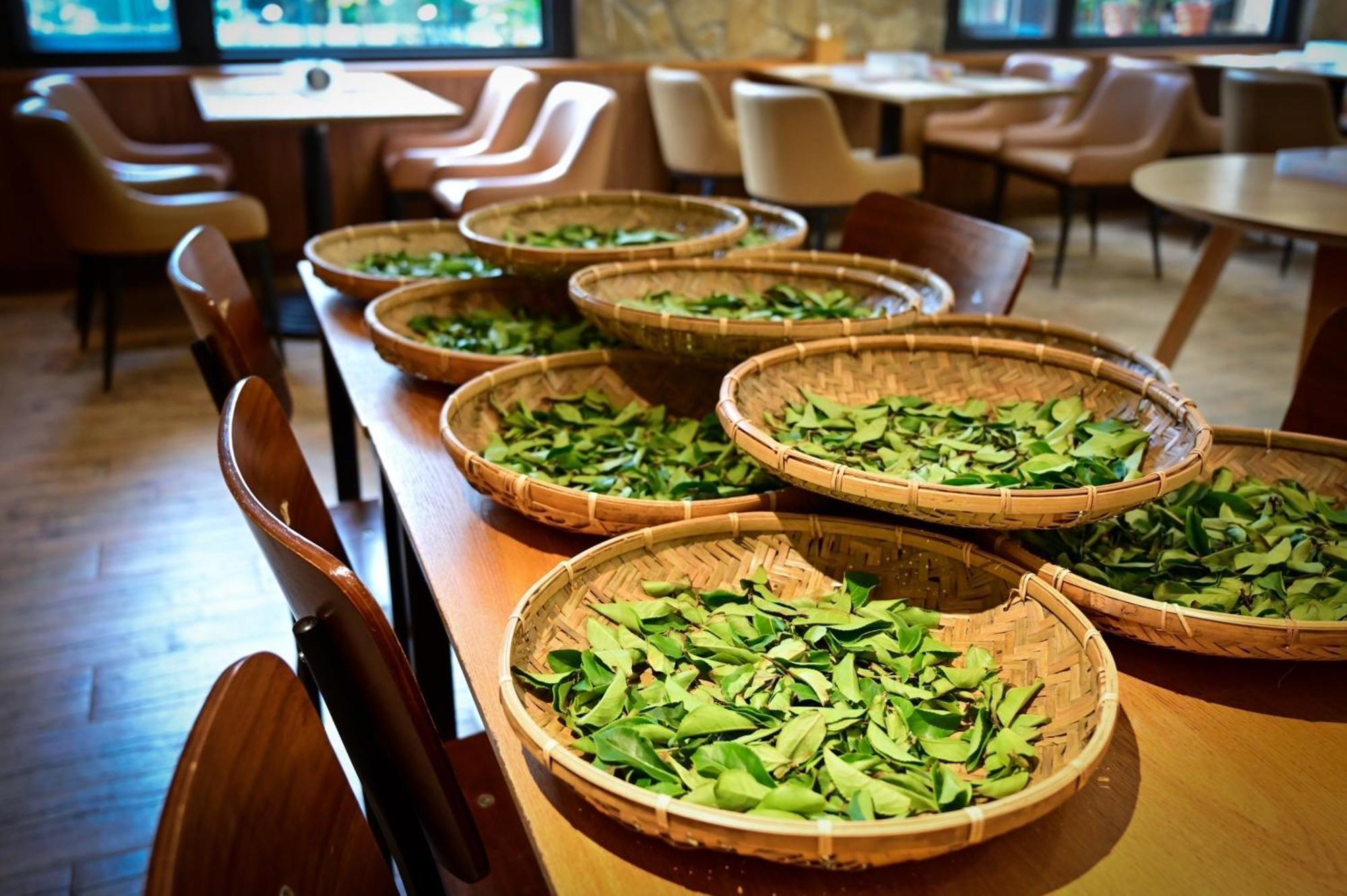 Ginkgo Hotel Лугу Екстериор снимка